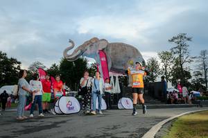 BIB: 
                            <button type="button" onclick="openModal(26529380)" class="btn btn-primary btn-sm float-right btn-popup" data-toggle="modal" data-target=".modal-high-quality">
                        <i class="fas fa-shopping-cart"></i> Add to Cart
                    </button>
                                            <button type="button" onclick="isThisMe(26529380, true)" class="btn btn-success btn-sm float-right btn-popup btn-isme hidden" data-toggle="tooltip" data-placement="bottom" title="นี่คือรูปของคุณใช่ไหม คลิกที่นี่เพื่อเอาเข้าอัลบั้ม">
                        <i class="fas fa-plus"></i> Add to album
                    </button>
                    <button type="button" onclick="isThisMe(26529380, false)" class="btn btn-warning btn-sm float-right btn-popup btn-isnotme hidden">
                        <i class="fas fa-ban"></i> Remove from album
                    </button>